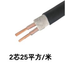 率龙电线电缆SL-20国标电缆电线YJV2*25（单位：米）(默认)
