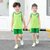 朴朴米 儿童短袖背心运动速干套装户外跑步训练服(背心运动套装-果绿 160cm)