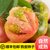 正宗丹东铁皮柿子  草莓西红柿盘锦碱脆柿子新鲜水果番茄(2.5kg(5斤一箱）)