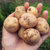 三峡高山小土豆马铃薯洋芋 炖汤炕洋芋 农家自种迷你土豆