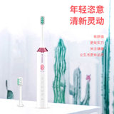 HYUNDAI韩国现代韩国现代声波电动牙刷防水智能持久续航（配5个刷头）QC-DYS6503