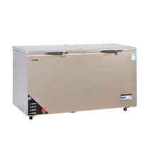 白雪（Baixue）BD/C-620FD冷冻冷藏可转换超大空间冷柜 数字显示 620升 1604*854*945mm(香槟金 BD/C-620FD)