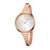 卡文克莱 CK女士手表 LIVELY系列时尚女表金色钢带石英手表(K2U23626)