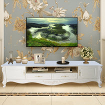木巴欧式电视机茶几组合 白色烤漆雕花影视柜 小户型客厅家具(白色电视柜DSG125 默认)