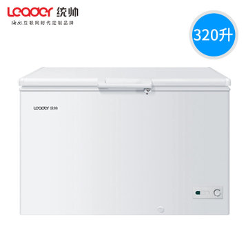 haier/海尔/统帅 bc/bd-320tsn冰柜 320升单温速冻 家用冷藏冷冻柜小