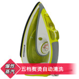 红心（Hongxin）电熨斗RH162 (蒸汽电熨斗陶瓷底板自动清洗)(162)