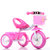 beruty儿童三轮车 2-3岁以上小孩子自行车 男女宝宝脚踏儿童车(C款粉色编织框)