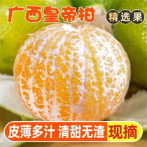 誉福园广西皇帝柑 新鲜柑橘 5斤大果（60-65mm） 皮薄易剔 口感清甜 纯甜多汁