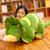 恐龙毛绒玩具抱枕男女孩睡觉床上娃娃可爱儿童玩偶大号霸王龙公仔(绿色三角龙 组合 全长75厘米+30厘米不同款恐龙【可拆洗】)
