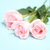 花港码头 鲜花超市 单枝玫瑰 选用云南A级鲜花花材 满59元包邮(粉佳人粉色)