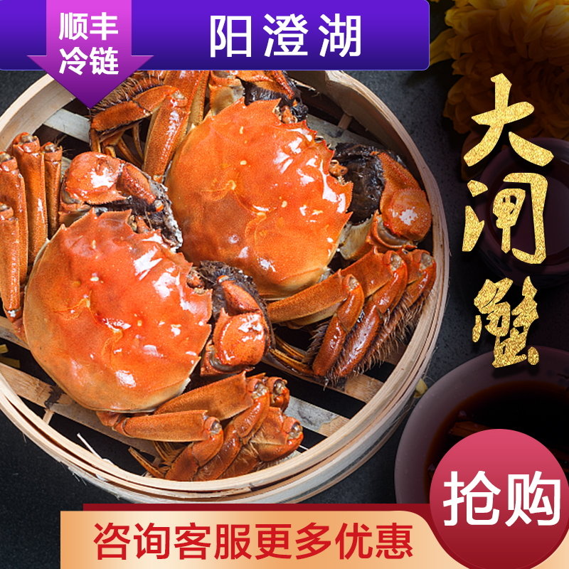 0-4.5两 共16只 鲜活生鲜螃蟹现货海鲜水产(生鲜实物)