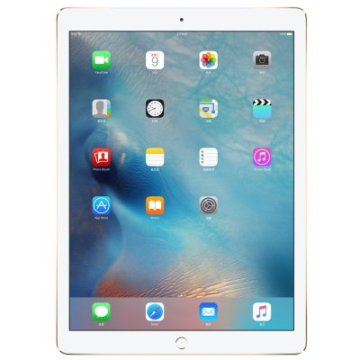Apple iPad Pro平板电脑（12.9英寸/32G/金色/WiFi版）ML0H2CH/A
