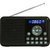 熊猫(PANDA) DS-172 数码音箱 精致小巧 功能强大 FM收音 黑色
