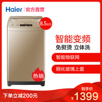 海尔8.5kg大容量 洗衣机 EB85BM59GTHU1 变频芯动力 金色外观 智能物联 节能耐用 直驱变频电机更静音