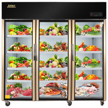 五洲伯乐CF-1800B 立式大三门厨房冰箱冷藏柜展示柜陈列柜冷柜商用冰柜家用节能冰箱