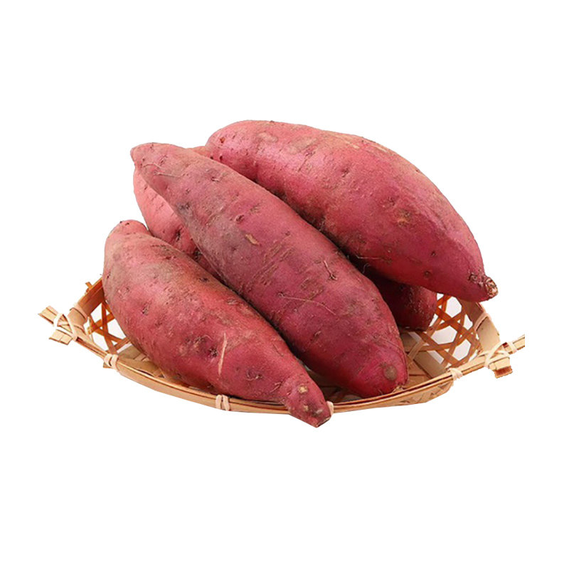 广西新鲜凉薯3-9斤农家自种白地瓜小番薯沙葛根红豆薯蔬菜整箱红薯(3