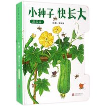 【新华书店】小种子快长大（蔬菜篇）
