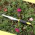 园艺工具套装铝镁合金四件套小铲子种花家用花铲耙锹种菜养花包邮(黄柄：拔草器)