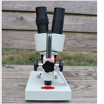 凤凰光学显微镜 XT-II-40X体视显微镜