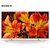 索尼（SONY） KD-43/49/55/65/75X8500F 43英寸 4K超清HDR智能LED液晶电视2018新品(银色 49寸)