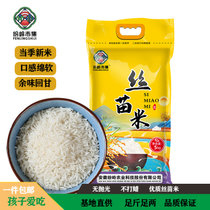 纷岭市集丝苗米 大米中长粒香米当季新米煲仔饭米 5kg 当季新米