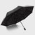 韩式星空小黑伞 金银星空黑胶防紫外线遮阳伞 三折折叠晴雨伞(灰色)
