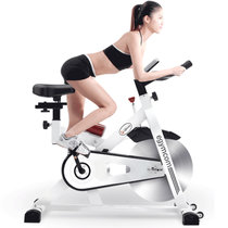 伊吉康骑士升级款 健身车 动感单车 家用静音室内运动健身器材健身自行车(实心飞轮14kg)