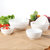 酒店餐厅家用餐具米饭碗4.5英寸陶瓷护边碗汤碗纯白沙拉甜品碗面碗日韩式料理寿司店碗