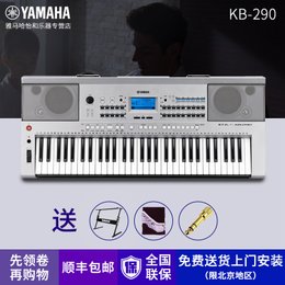 雅马哈yamahakb29061键成人电子琴