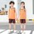 朴朴米 儿童短袖背心运动速干套装户外跑步训练服(背心运动套装-咖啡橙 110cm)