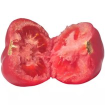 5斤山东普罗旺斯番茄水果西红柿新鲜蔬菜农家自然熟沙瓤生吃食用(5斤装【蜜蜂授粉西红柿】)