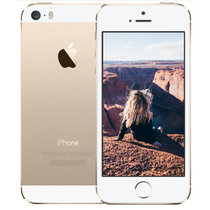 苹果（Apple）iPhone5S 金色 移动联通双4G手机(金色 移动联通双4G)