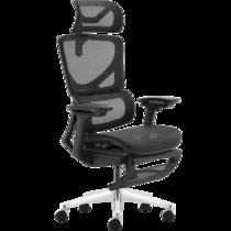 【送男友职场精英】达宝利Ergosmart精英版 人体工学椅电脑椅子办公椅可躺主播椅网布座椅(黑色铝合金脚 脚拖)
