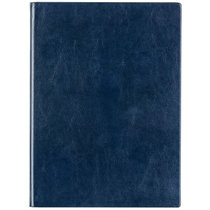 得力3306商务办公笔记本(蓝色)（对公）
