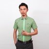 2013爆款男士立领时尚竖条纹修身全棉短袖衬衫C13030(绿条纹 38)