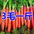 新鲜胡萝卜5斤水果萝卜甜脆现挖现发生吃红心罗卜农家蔬菜 带泥10(9.5斤)