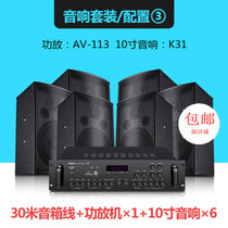Shinco/新科 K31会议室音响套装全套家用KTV音箱套装话筒卡包功放(黑色 10寸套餐3)