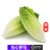 【顺丰】包心罗马生菜 包心罗纹沙拉菜西餐配菜 新鲜蔬菜(250g)