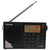 德生(Tecsun) PL-310ET 收音机 全波段 听力英语 高考听力四六级考试 时钟 校园广播 黑色