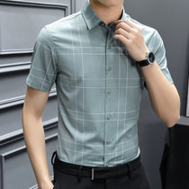 弹力轻商务休闲衬衫质感垂感抗皱竹纤维男士格子短袖免烫薄款(绿色 XL)