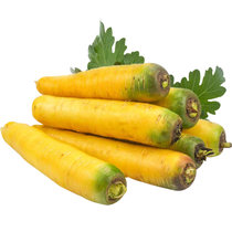 新疆特产黄色胡萝卜红新鲜蔬菜生吃水果抓饭农家自种有机罗卜泡菜(5斤)