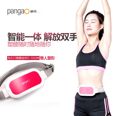 攀高（PANGAO）PG-2641腰部按摩器 智能减肥塑身腰带 电动甩脂机 懒人瘦腰瘦肚子神器 燃脂机(粉色 热销)