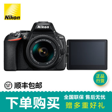 尼康（Nikon）D5600单机身(套餐一)