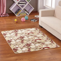 珊瑚绒客厅卧室床边满铺地毯门垫隔音防潮花色地毯(花开富贵 40cmx60cm)