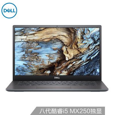 戴尔DELL 成就5000 13-5390-R1625A 13.3英寸超轻薄窄边框笔记本电脑(4G内存/512G固态/定制)