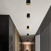 熊狮 现代简约LED吸顶灯方形卧室书房餐厅阳台灯具照明(黑色 固定式通用灯具)