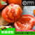 西红柿新鲜 5斤自然熟番茄洋柿蜂柿现摘沙瓤生吃熊蜂授粉粉柿顺丰(5斤装 5斤)