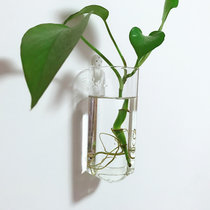 壁挂水培植物花瓶透明小清新现代简约客厅卧室挂墙上装饰玻璃花盆(方管玻璃花瓶 透明)