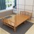 PADEN 折叠床单人午睡床家用经济型木板床双人午休实木简易凉床(棕色 100X190CM)