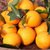 湖南麻阳冰糖橙甜橙3-9斤 新鲜水果手剥橙橙子(3斤（65-70mm）)